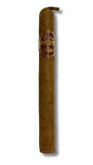 EXPEDIOTOR Toro Colita